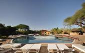 Туры в отель Kilima Safari Camp