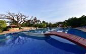 Туры в отель Kilima Safari Camp