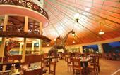 Туры в отель Kilima Safari Camp