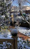 Туры в отель Villa Masi Rental Rooms