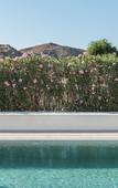 Туры в отель Parilio, a Member of Design Hotels
