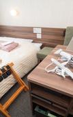 Туры в отель Super Hotel Ishikari