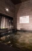 Туры в отель Super Hotel Ishikari