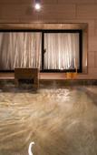 Туры в отель Super Hotel Ishikari