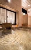 Туры в отель Super Hotel Ishikari
