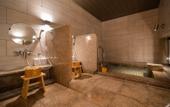 Туры в отель Super Hotel Ishikari