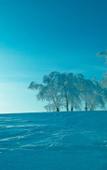 Туры в отель The Vale Rusutsu