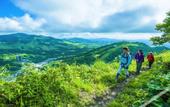 Туры в отель The Vale Rusutsu