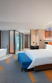 Туры в отель Hampton by Hilton Hangzhou Tonglu Fuchun River