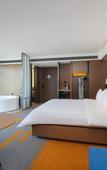 Туры в отель Hampton by Hilton Hangzhou Tonglu Fuchun River