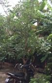 Туры в отель Side Walk Hotel