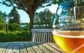 Туры в отель Seepark Hotel am Wandlitzsee