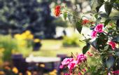 Туры в отель Seepark Hotel am Wandlitzsee