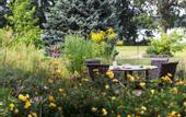 Туры в отель Seepark Hotel am Wandlitzsee