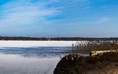 Туры в отель Seepark Hotel am Wandlitzsee