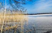 Туры в отель Seepark Hotel am Wandlitzsee