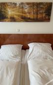 Туры в отель Hotel Garni Merkenich