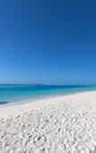 Туры в отель Rasdhoo Stay