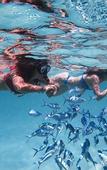 Туры в отель Rasdhoo Stay