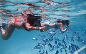 Туры в отель Rasdhoo Stay