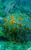 Туры в отель Rasdhoo Stay