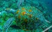 Туры в отель Rasdhoo Stay