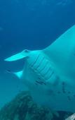 Туры в отель Rasdhoo Stay