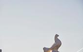 Туры в отель Galation