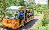Туры в отель FLC Grand Hotel Quy Nhon