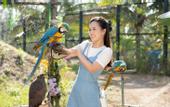 Туры в отель FLC Grand Hotel Quy Nhon
