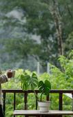 Туры в отель Magical Mountain View Resort