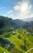 Туры в отель Magical Mountain View Resort