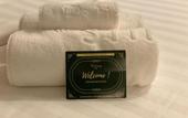 Туры в отель Stirling Suites