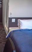 Туры в отель Hotel Livemax BUDGET Nagoya Taikodoriguchi