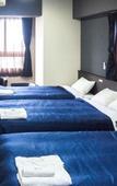 Туры в отель Hotel Livemax BUDGET Nagoya Taikodoriguchi