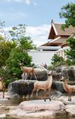 Туры в отель Thantara Resort Chiang Mai