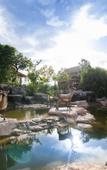 Туры в отель Thantara Resort Chiang Mai