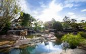 Туры в отель Thantara Resort Chiang Mai