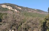 Туры в отель Floral hotel·Hanyashan hotel(Taishan Hongmen Scenic Area)