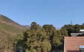 Туры в отель Floral hotel·Hanyashan hotel(Taishan Hongmen Scenic Area)