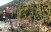 Туры в отель Floral hotel·Hanyashan hotel(Taishan Hongmen Scenic Area)