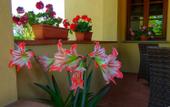 Туры в отель Torrebianca Tuscany