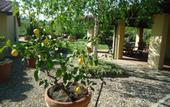 Туры в отель Torrebianca Tuscany