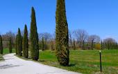 Туры в отель Torrebianca Tuscany