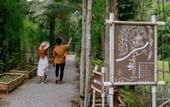 Туры в отель Khaosok Boutique Hideaway
