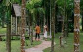 Туры в отель Khaosok Boutique Hideaway