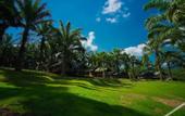 Туры в отель Khaosok Boutique Hideaway