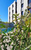 Туры в отель Ibis Lunel Petite Camargue