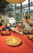 Туры в отель JO&JOE Vienna - Hostel