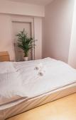 Туры в отель Dragons Dream Hostel